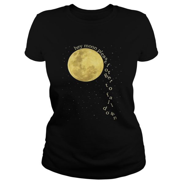 Panic at the Disco hey moon please forget to fall down shirt