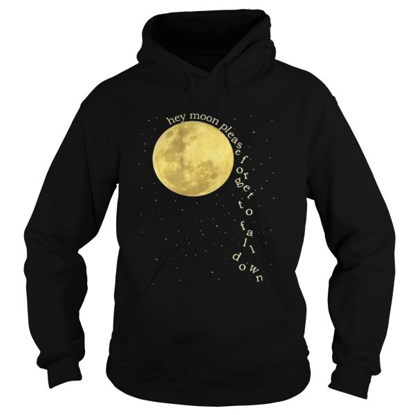 Panic at the Disco hey moon please forget to fall down shirt