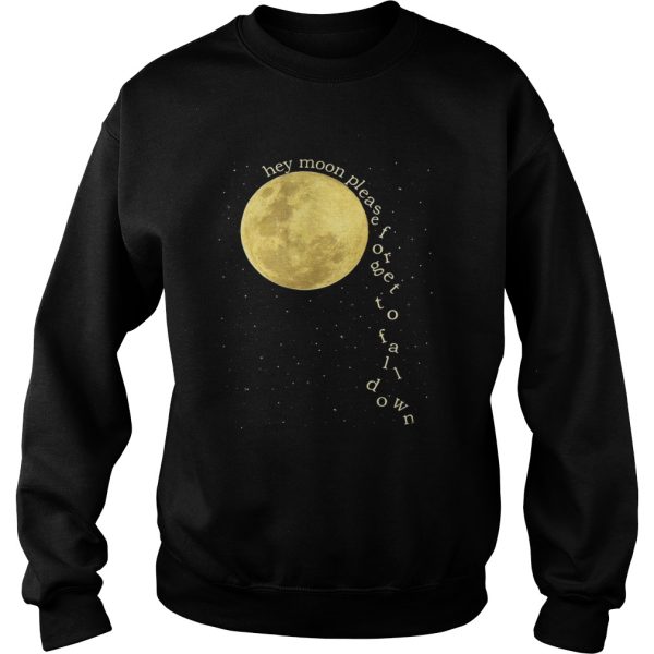 Panic at the Disco hey moon please forget to fall down shirt