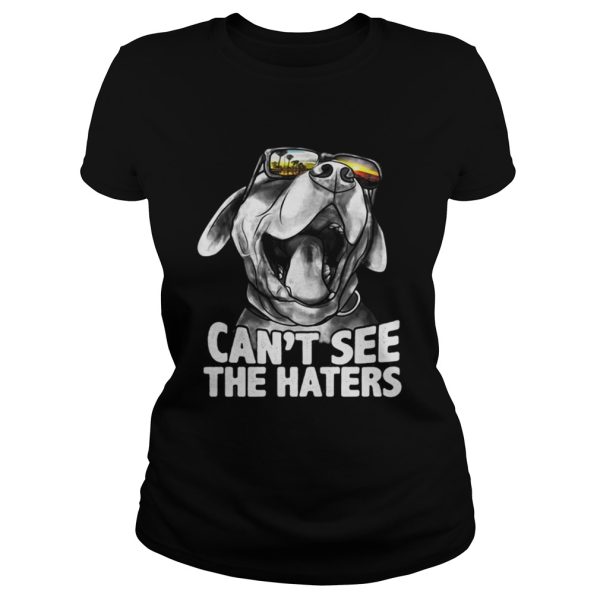 Pitbull glasses can’t see the haters shirt