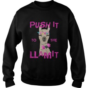 Push it to the Llamit shirt 2 Push it to the Llamit shirt 3