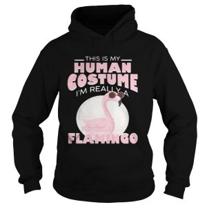 This is my human costume Im really a Flamingo shirt 1