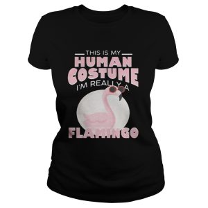 This is my human costume Im really a Flamingo shirt 2