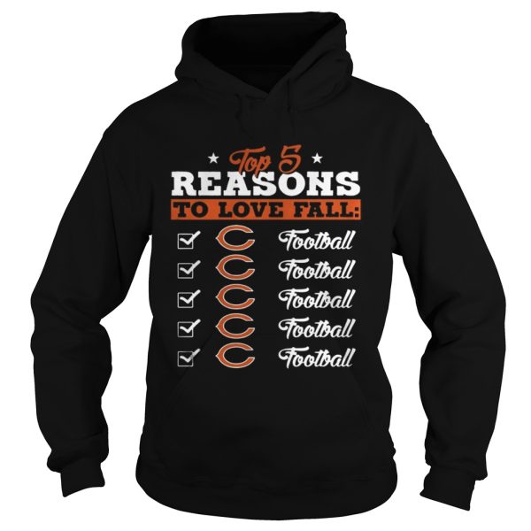 Top 5 Reasons To Love Falls Bears Football Team T-Shirt