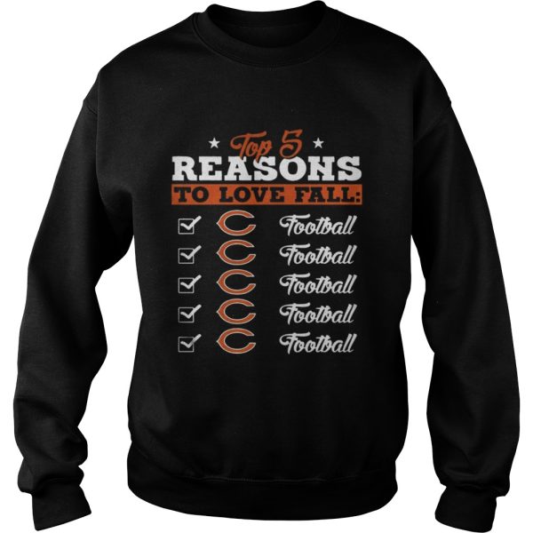 Top 5 Reasons To Love Falls Bears Football Team T-Shirt