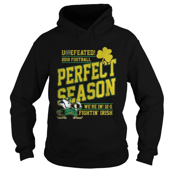 Undefeated 2018 Football Perfect Season Were In 120 Fightin Irish shirt