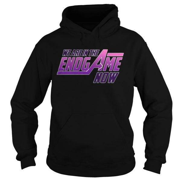 We Are In The Endgame Now shirt