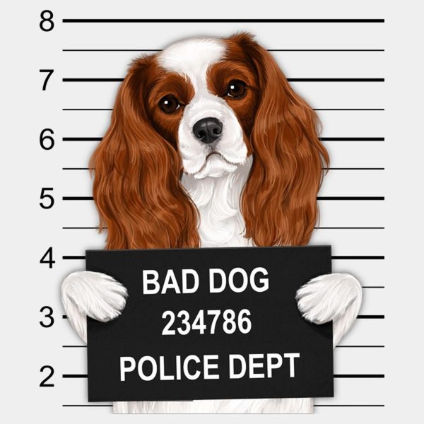 Cavalier Charles King Spaniel mugshot – T-shirt