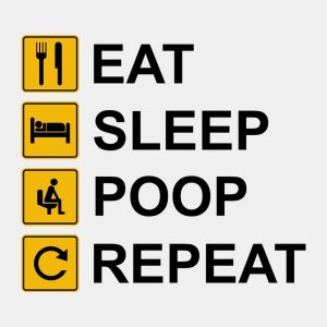 Eat Sleep Poop Repeat T shirt 2
