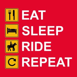 Eat Sleep Ride Horses Repeat T shirt 2
