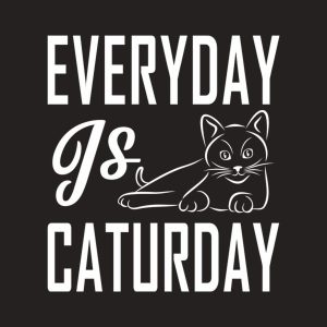 Everyday is Caturday T shirt 2