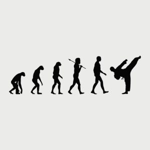 Evolution of Karate T-shirt 1 Evolution of Karate T shirt 2