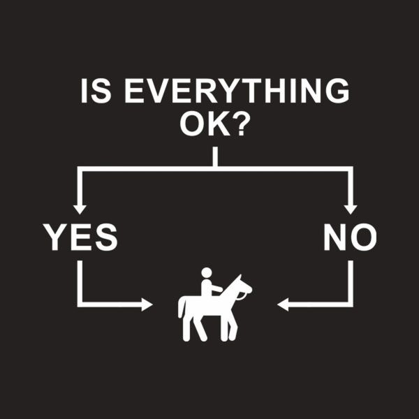 Flowchart (Horse Riding) – T-shirt