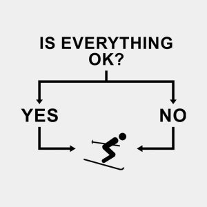 Flowchart Skiing T shirt 2