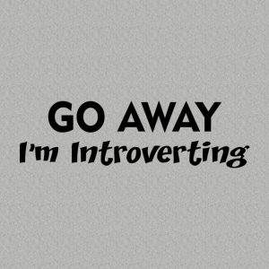 Go Away! I'm introverting - T-shirt 1 Go Away! Im introverting T shirt 2