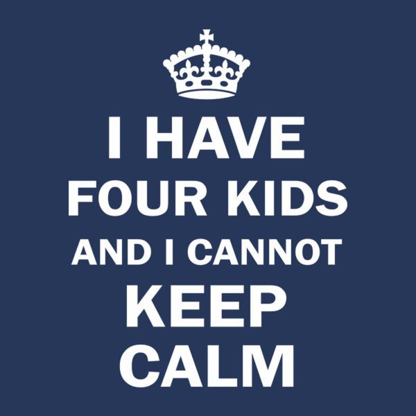 I have 4 kids and I cannot keep calm – T-shirt