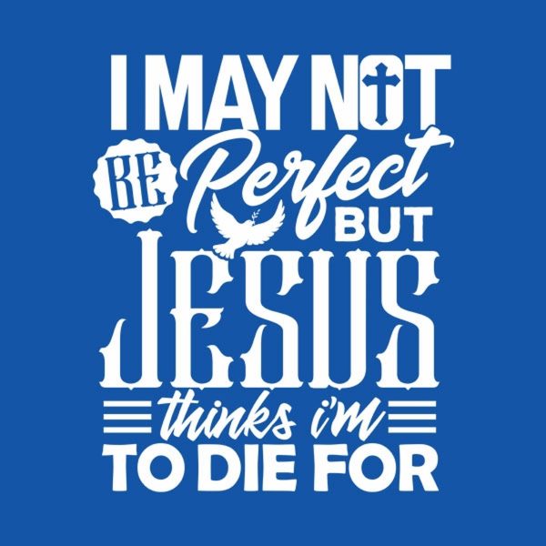 I may not be perfect – T-shirt