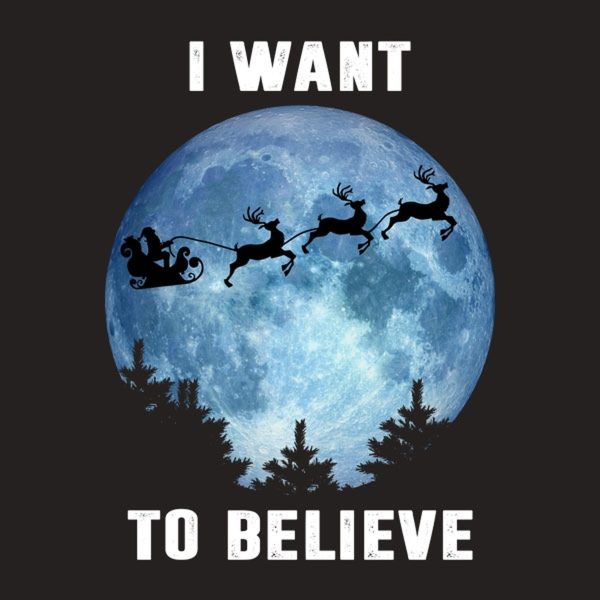 I want to believe in Santa – T-shirt