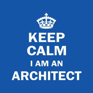 Keep calm I am an architect T shirt 2