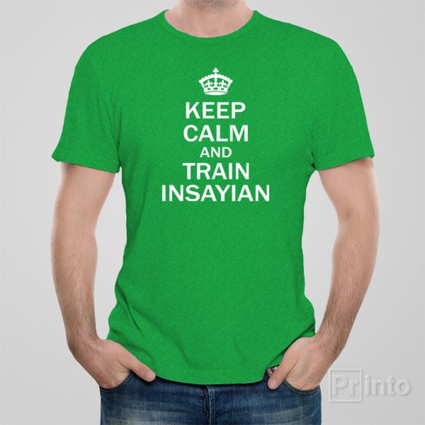 Keep calm and train insayan – T-shirt