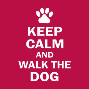 Keep calm and walk the dog T shirt 2