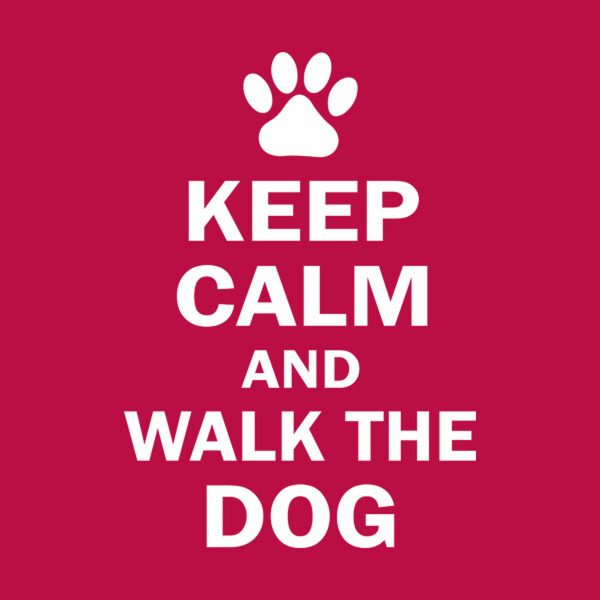 Keep calm and walk the dog – T-shirt