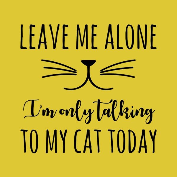 Leave me alone, I’m only talking to my cat – T-shirt