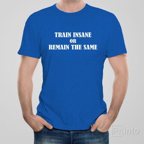 Train insane or remain the same – T-shirt