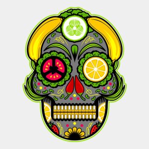 Vegan skull T shirt 2