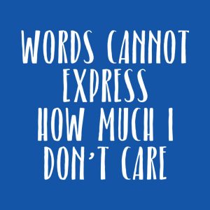 Words cannot express T shirt 2