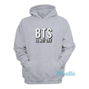 BTS Is Not Gay Hoodie 2