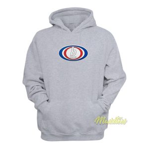 Blink 182 Billabong Hoodie 2