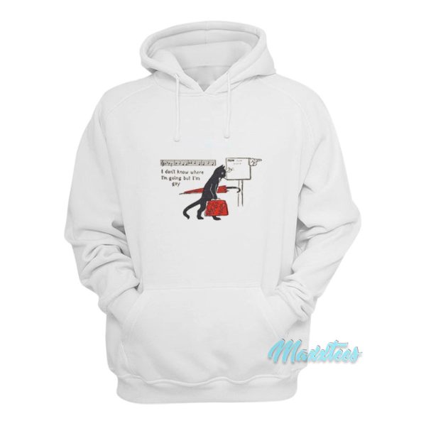 Cat I Don’t Know Where I’m Going But I’m Gay Hoodie