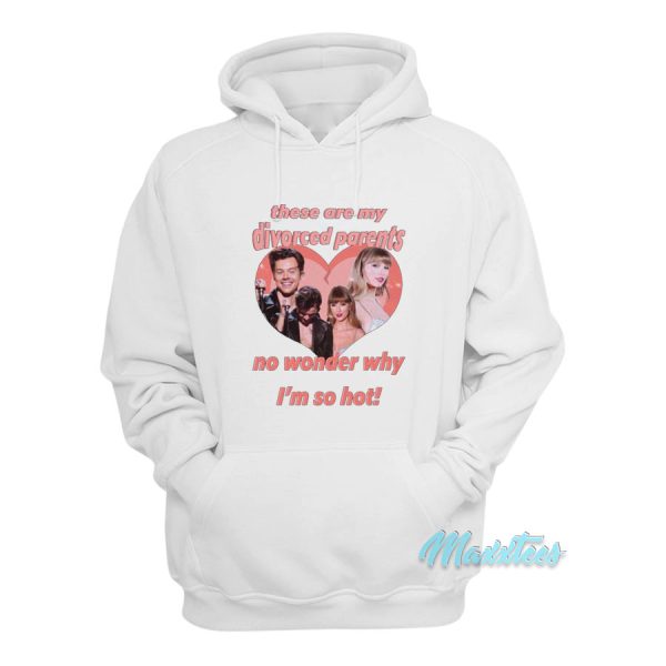 Haylor I Am A Child Of Divorce I’m So Hot Hoodie