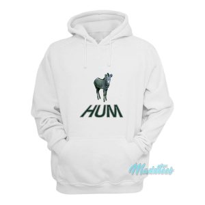 Hum Zebra Youd Prefer An Astronaut Hoodie 1