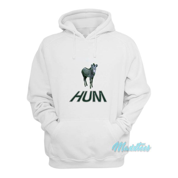 Hum Zebra You’d Prefer An Astronaut Hoodie