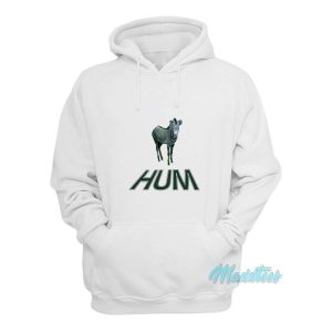 Hum Zebra Youd Prefer An Astronaut Hoodie 2
