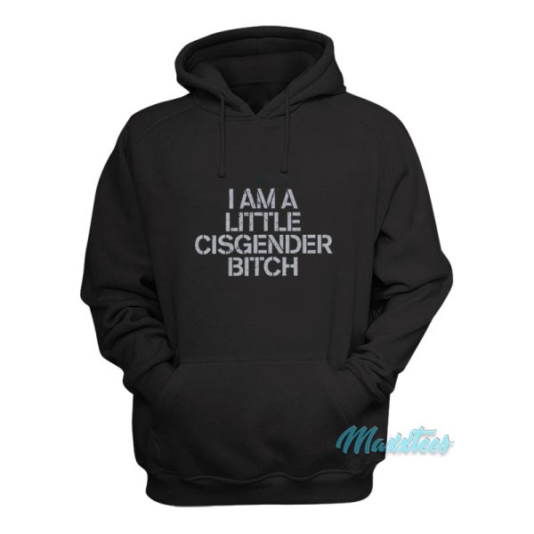 I Am A Little Cisgender Bitch Hoodie