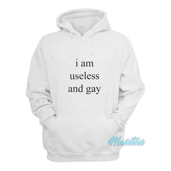 I Am Useless And Gay Hoodie