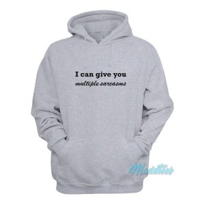 I Can Give You Multiple Sarcasms Hoodie 2