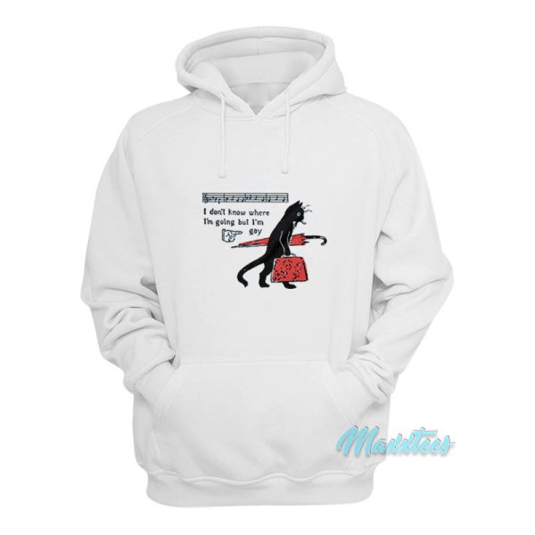 I Don’t Know Where I’m Going But I’m Gay Cat Hoodie