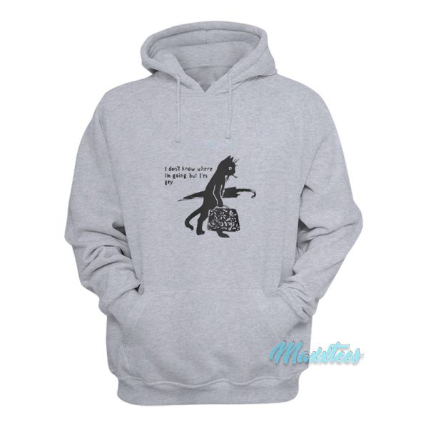 I Don’t Know Where I’m Going But I’m Gay Hoodie