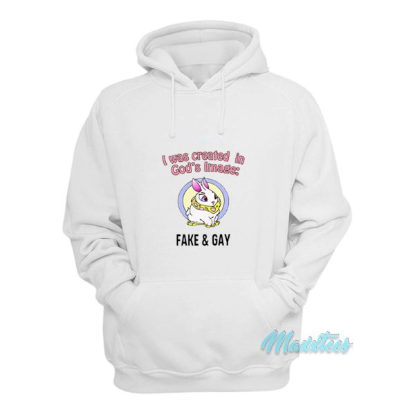 I Was Created In God’s Image Fake And Gay Hoodie