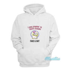 I Was Created In God’s Image Fake And Gay Hoodie