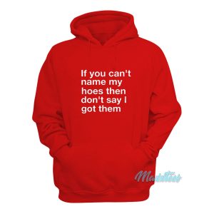 If You Cant Name My Hoes Hoodie 1