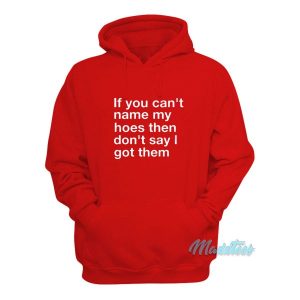 If You Cant Name My Hoes Hoodie 2