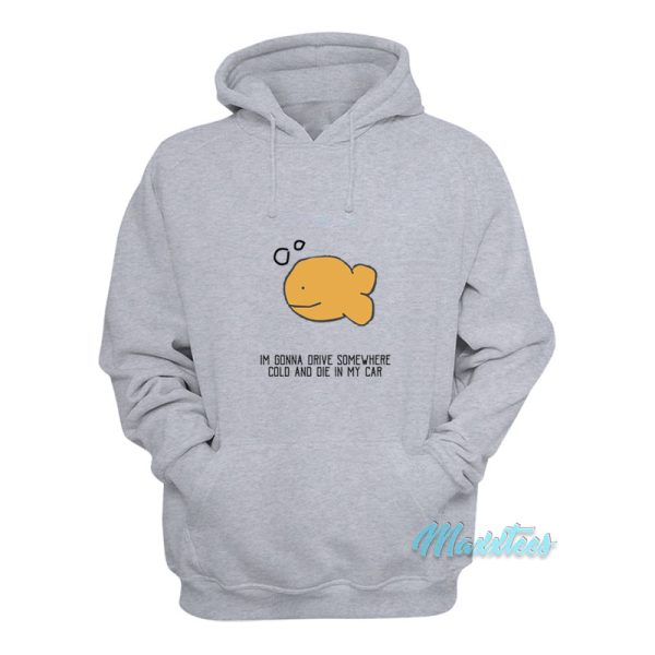 Im Gonna Drive Somewhere Cold Hoodie