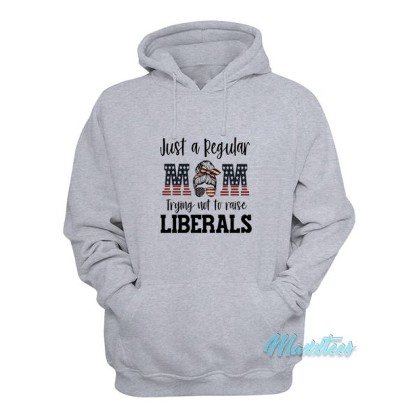 Just A Regular Mom Trying Not To Raise Liberals Hoodie