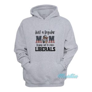 Just A Regular Mom Trying Not To Raise Liberals Hoodie