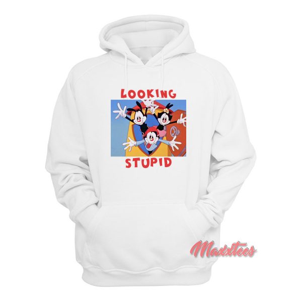 Looking Stupid Animaniacs Hoodie